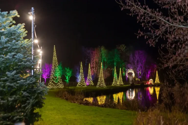 A beautifully illuminated night scene with Christmas trees and vibrant lights reflecting on water.